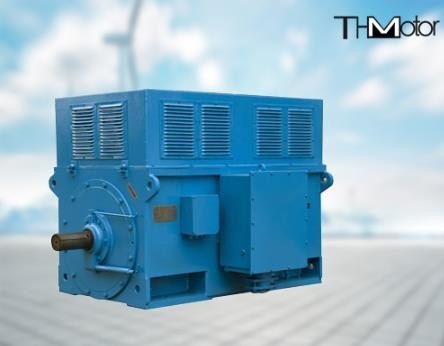 1400kw ثلاثي المراحل الكهربائية عالية الجهد محركات الحث 100rpm إلى 3600rpm