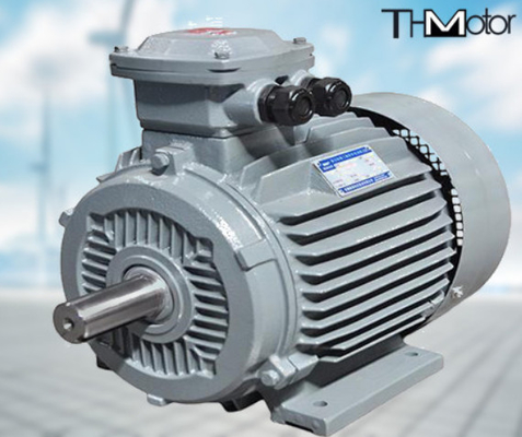 مضخة المحرك الكهربائي ذات الجهد العالي GB30254 مقاومة للحريق IP65 165kW
