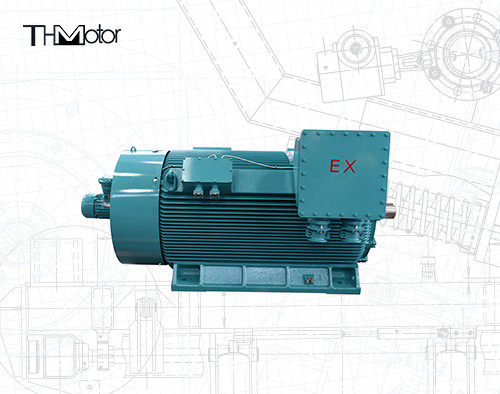 1000kw إلى 12000kw ExdIIBT4 Gb Flameproof Electric Motor 1500rpm VFD Motor