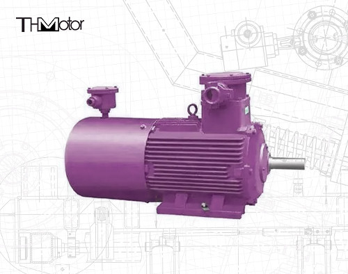 IC411 المحرك الكهربائي المقاوم للنار IP55 فئة الحماية ≤ 70dB مستوى الضوضاء