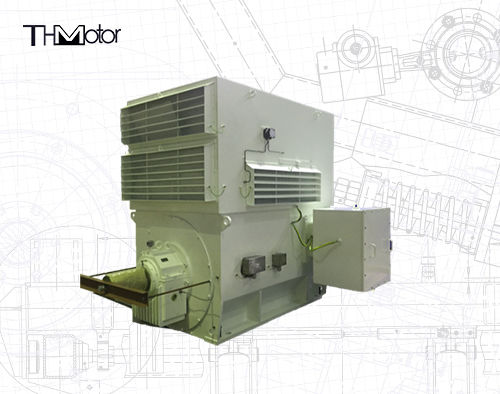 محركات الحث ثلاثية الطور من سلسلة WPI WPII للاستخدام الصناعي