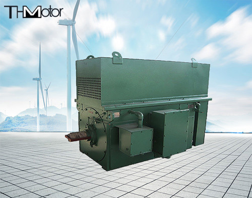 Y900 Y1000 تعدين الفحم ثلاث مراحل غير متزامن عالي الجهد المحركات الكهربائية 900kw 1250kw