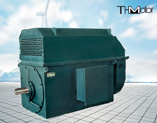941 دورة في الدقيقة 400kw إلى 6000kw 3 المرحلة التعريفي عالية الجهد المحركات الكهربائية 6kv