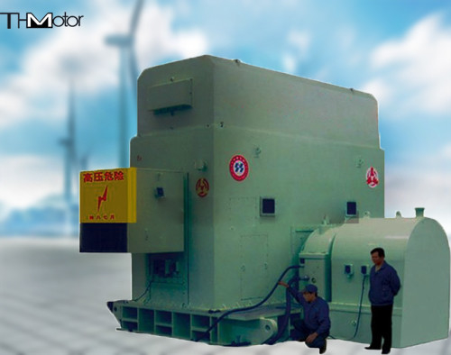 6300KW المثير بدون فرشات AC محرك متزامن IP44 IP54 IP55