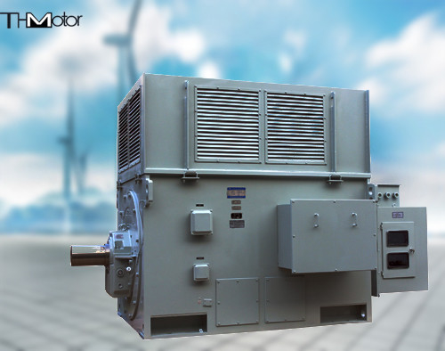 6KV 10KV ثلاث مراحل التعريفي الجرح الدوار محرك متزامن IP44