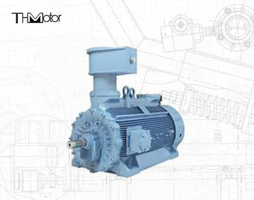 محرك كهربائي غير متزامن عالي الجهد مضاد للانفجار 1500 دورة في الدقيقة H800